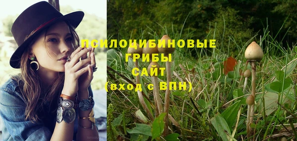 спиды Алзамай