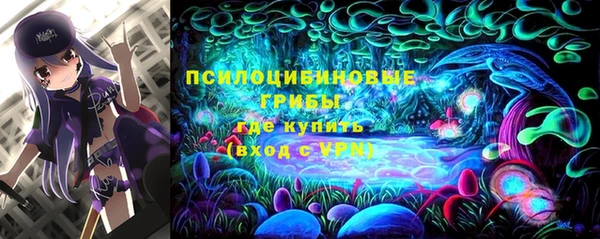 спиды Алзамай