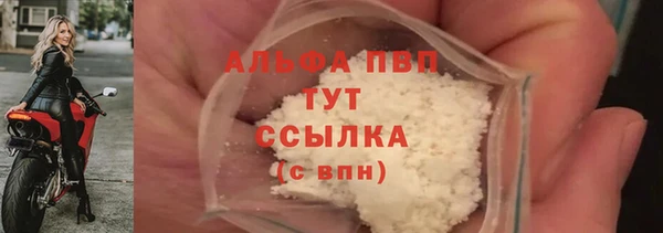 гашик Нефтекумск