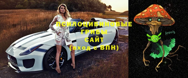 спиды Алзамай