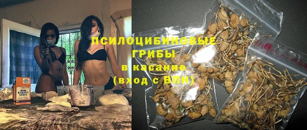 спиды Алзамай
