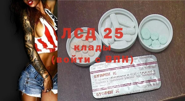 спиды Алзамай