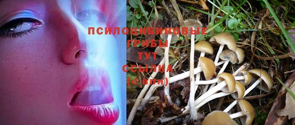 экстази Алексеевка