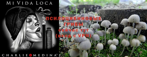 экстази Алексеевка